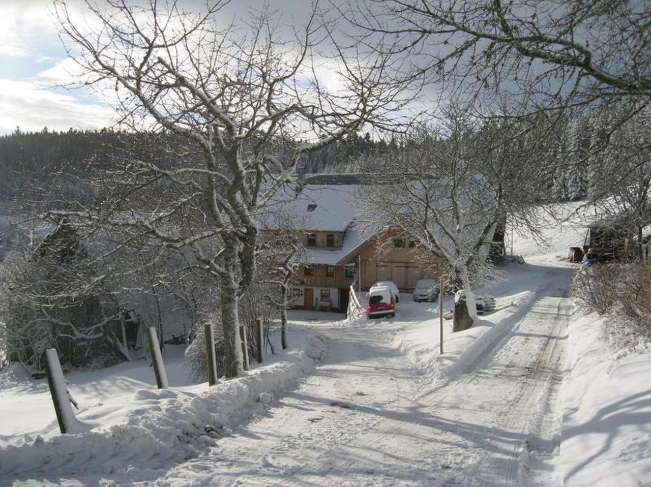 Schonach im SchwarzwaldSigmundenhof公寓 外观 照片