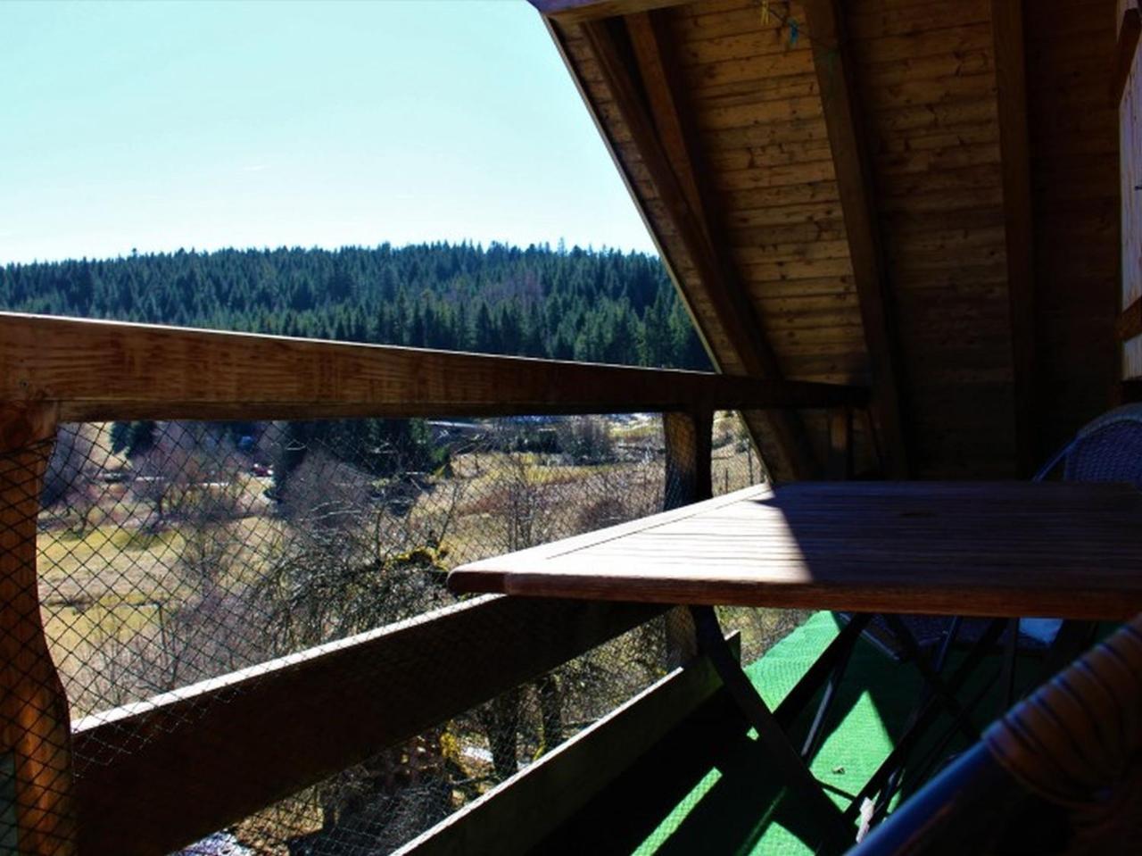 Schonach im SchwarzwaldSigmundenhof公寓 外观 照片