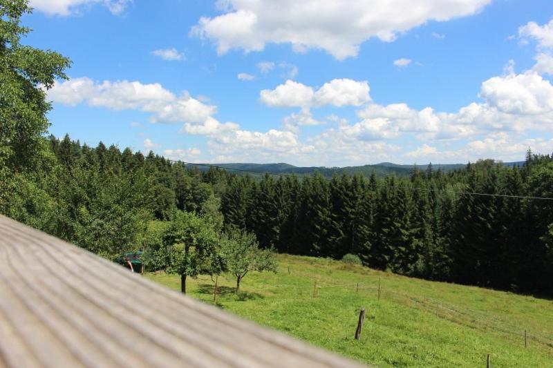 Schonach im SchwarzwaldSigmundenhof公寓 外观 照片