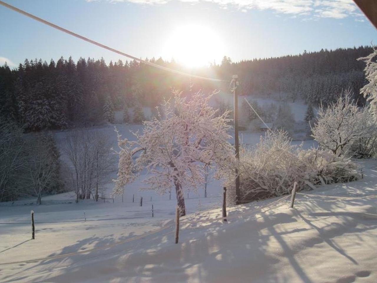 Schonach im SchwarzwaldSigmundenhof公寓 外观 照片